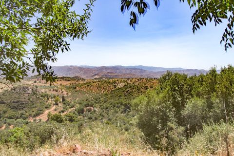Country house in Almogia, Malaga - photo 2