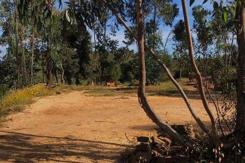 Helårsgrund i Lagos, Faro, Lagos - € 275.000 | Ref: 948300 - foto 12