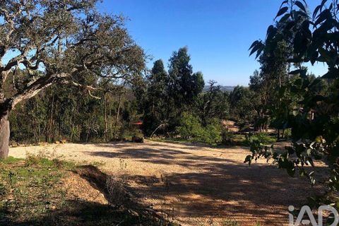Helårsgrund i Lagos, Faro, Lagos - € 275.000 | Ref: 948300 - foto 15