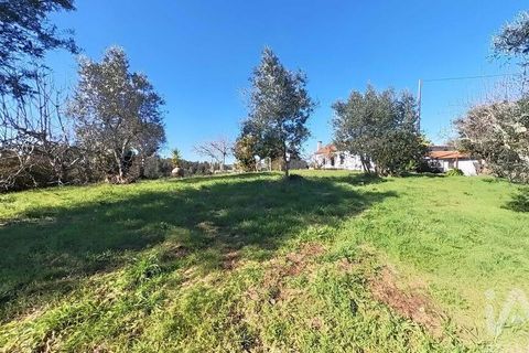 Byhus i Serta, Castelo Branco, Serta - € 139.000 | Ref: 923611 - foto 2