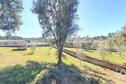 Byhus i Serta, Castelo Branco, Serta - € 139.000 | Ref: 923611 - foto 18