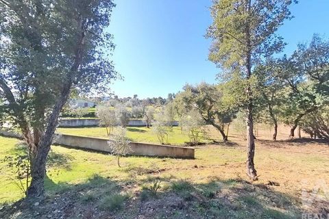 Byhus i Serta, Castelo Branco, Serta - € 139.000 | Ref: 923611 - foto 19