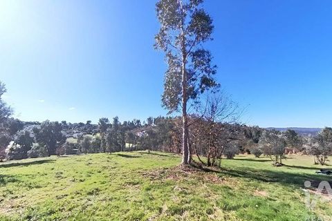 Byhus i Serta, Castelo Branco, Serta - € 139.000 | Ref: 923611 - foto 20