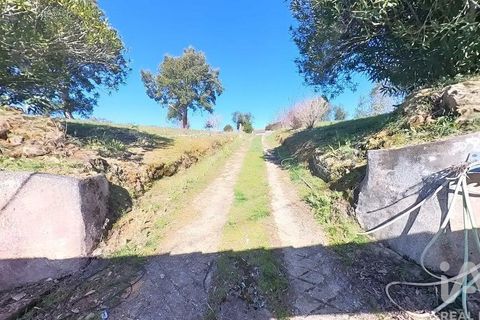 Byhus i Serta, Castelo Branco, Serta - € 139.000 | Ref: 923611 - foto 21
