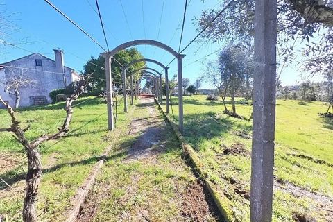 Byhus i Serta, Castelo Branco, Serta - € 139.000 | Ref: 923611 - foto 22