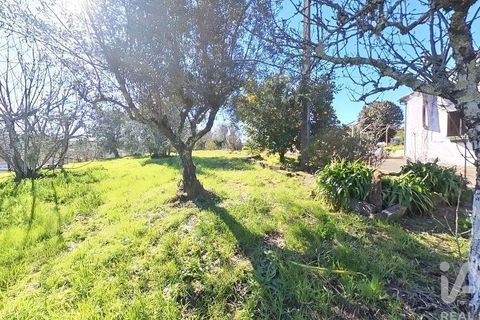 Byhus i Serta, Castelo Branco, Serta - € 139.000 | Ref: 923611 - foto 23