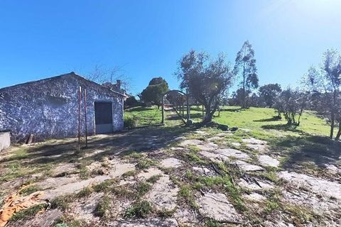 Byhus i Serta, Castelo Branco, Serta - € 139.000 | Ref: 923611 - foto 26