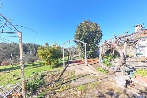 Byhus i Serta, Castelo Branco, Serta - € 139.000 | Ref: 923611 - foto 27