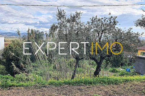 Villa i Antuzede e Vil de Matos, Coimbra, Antuzede e Vil de Matos - € 35.000 | Ref: MOR_2981_ASOU - foto 4