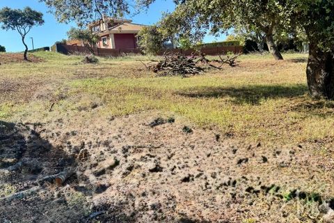 Helårsgrund i Carrascal De Barregas, Salamanca, Carrascal De Barregas - € 19.500 | Ref: EXP14723/8930 - foto 2