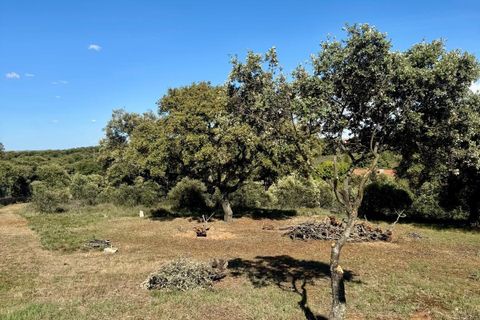Helårsgrund i Carrascal De Barregas, Salamanca, Carrascal De Barregas - € 19.500 | Ref: EXP14723/8930 - foto 4