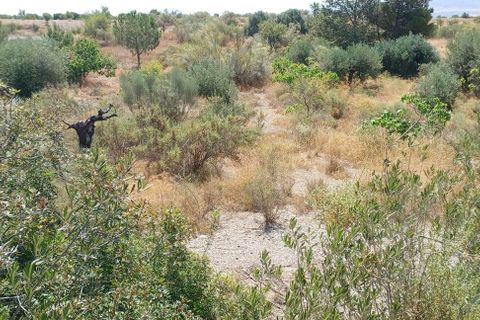 Tomt i Rambla Grande, Almeria, Rambla Grande - € 58 000 | Ref: R22359 - foto 2