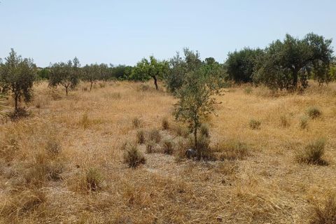 Tomt i Rambla Grande, Almeria, Rambla Grande - € 58 000 | Ref: R22359 - foto 3