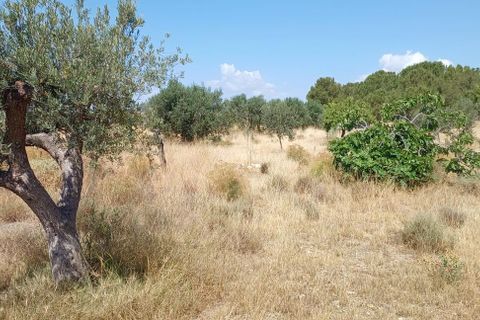 Tomt i Rambla Grande, Almeria, Rambla Grande - € 58 000 | Ref: R22359 - foto 4