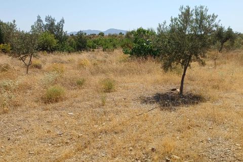 Tomt i Rambla Grande, Almeria, Rambla Grande - € 58 000 | Ref: R22359 - foto 5