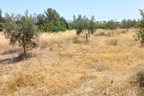 Tomt i Rambla Grande, Almeria, Rambla Grande - € 58 000 | Ref: R22359 - foto 6