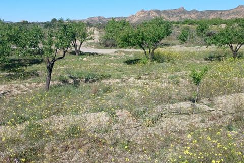 Terra a Rambla Grande, Almeria, Rambla Grande - € 28.000 | Ref: R22358 - foto 2