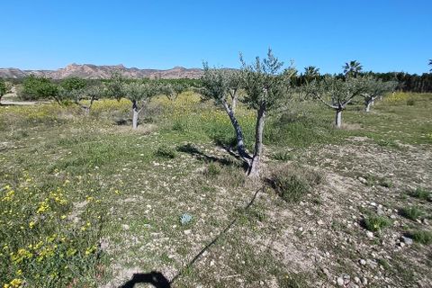 Terra a Rambla Grande, Almeria, Rambla Grande - € 28.000 | Ref: R22358 - foto 3