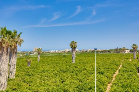 Villa i Los Balcones, Alicante, Los Balcones - € 315.000 | Ref: MLSC4049009 - foto 38