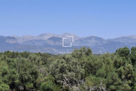 Landejendom i Sencelles, Mallorca, Sencelles - € 1.997.000 | Ref: MAL70456 - foto 23