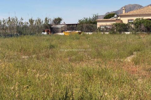 Landejendom i Catral, Alicante, Catral - € 575.000 | Ref: SL-62660 - foto 37