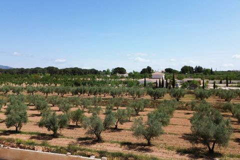 Villa i Pinoso, Alicante, Pinoso - € 420.000 | Ref: HV-70556 - foto 36
