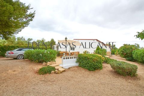 Villa a Biar, Alicante, Biar - € 199.900 | Ref: 01504/8734 - foto 34