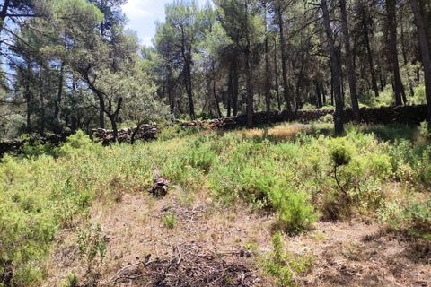 Landejendom i Bocairent, Valencia, Bocairent - € 145.000 | Ref: 3021 - foto 24