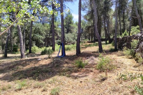 Landejendom i Bocairent, Valencia, Bocairent - € 145.000 | Ref: 3021 - foto 25