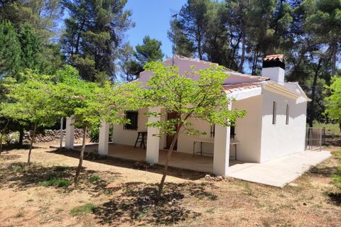 Landejendom i Bocairent, Valencia, Bocairent - € 145.000 | Ref: 3021 - foto 31