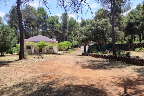 Landejendom i Bocairent, Valencia, Bocairent - € 145.000 | Ref: 3021 - foto 33