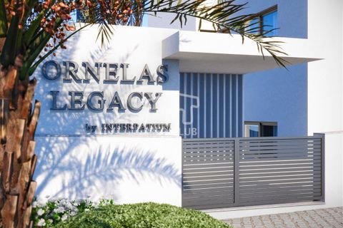 Lejlighed i Calheta, Madeira, Calheta - € 805.000 | Ref: 11702-7-JF - foto 17