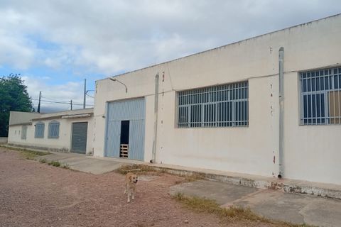 Erhvervsejendom i Salinas, Alicante, Salinas - € 400.000 | Ref: P5513 - foto 1