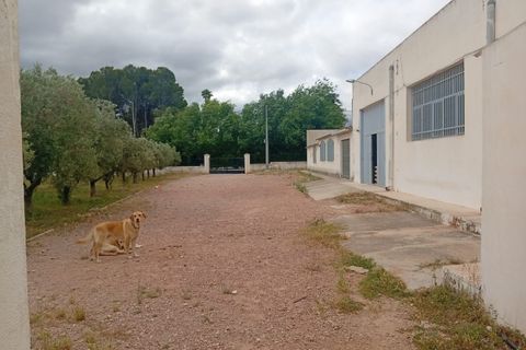Erhvervsejendom i Salinas, Alicante, Salinas - € 400.000 | Ref: P5513 - foto 5