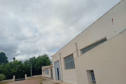 Erhvervsejendom i Salinas, Alicante, Salinas - € 400.000 | Ref: P5513 - foto 9