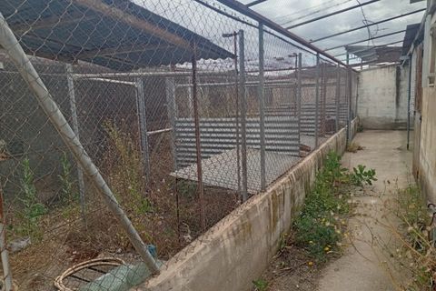Erhvervsejendom i Salinas, Alicante, Salinas - € 400.000 | Ref: P5513 - foto 10