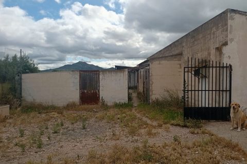 Erhvervsejendom i Salinas, Alicante, Salinas - € 400.000 | Ref: P5513 - foto 11
