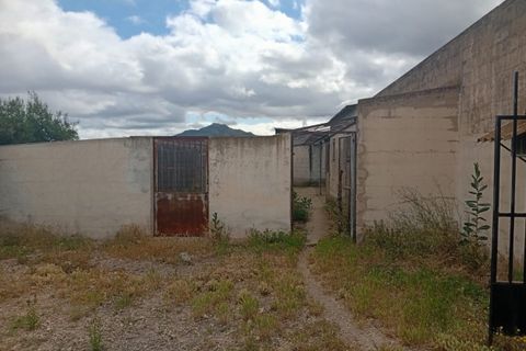 Erhvervsejendom i Salinas, Alicante, Salinas - € 400.000 | Ref: P5513 - foto 12