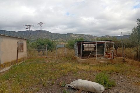 Erhvervsejendom i Salinas, Alicante, Salinas - € 400.000 | Ref: P5513 - foto 14