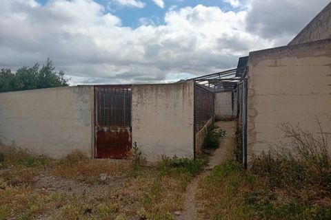 Erhvervsejendom i Salinas, Alicante, Salinas - € 400.000 | Ref: P5513 - foto 19