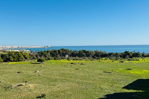 Ático en Punta Prima, Alicante, Punta Prima - € 220.000 | Ref: 27-58-502-11-1043/77674 - photo 7