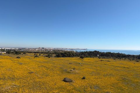 Ático en Punta Prima, Alicante, Punta Prima - € 220.000 | Ref: 27-58-502-11-1043/77674 - photo 21