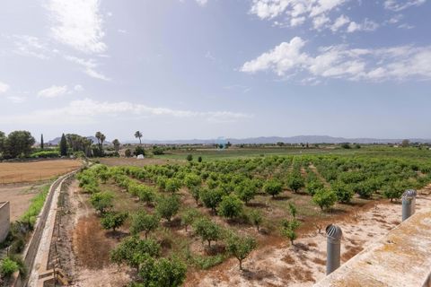 Byhus i Daya Nueva, Alicante, Daya Nueva - € 179.995 | Ref: P9164 - foto 35