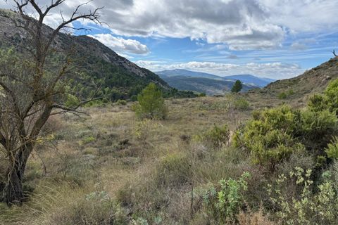 Terra a Confrides, Alicante, Confrides - € 40.000 | Ref: Ref-CBE02-322 - foto 3