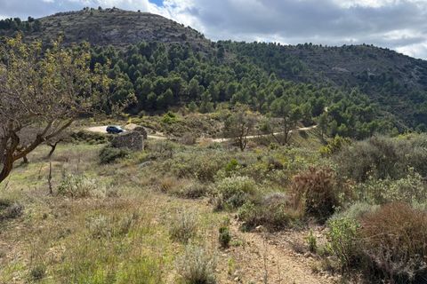 Terra a Confrides, Alicante, Confrides - € 40.000 | Ref: Ref-CBE02-322 - foto 8