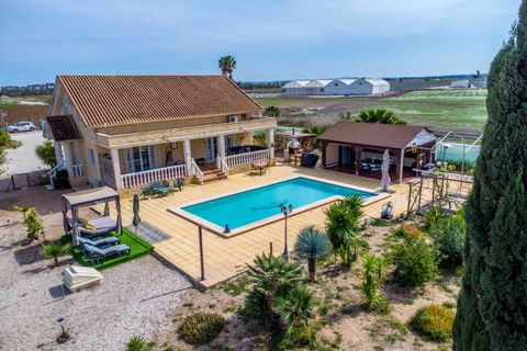Landejendom i Albatera, Alicante, Albatera - € 685.000 | Ref: Ref-CV-ZA24 - foto 4