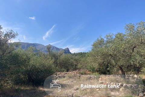 Landejendom i El Perello, Tarragona, El Perello - € 29.000 | Ref: Finca Toni Soni - foto 2