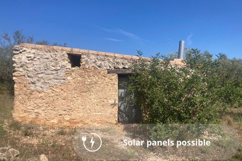 Landejendom i El Perello, Tarragona, El Perello - € 29.000 | Ref: Finca Toni Soni - foto 7