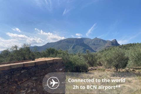 Landejendom i El Perello, Tarragona, El Perello - € 29.000 | Ref: Finca Toni Soni - foto 6