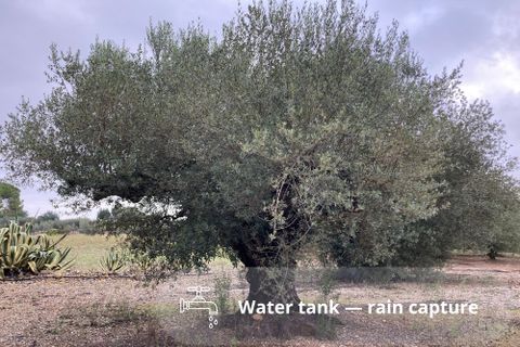Landejendom i El Perello, Tarragona, El Perello - € 35.000 | Ref: Finca Bonita Ol - foto 6